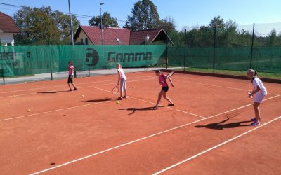 Tenis