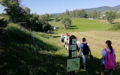 NARAVOSLOVNI DAN 6.R – OD LEBICE DO KRUPE