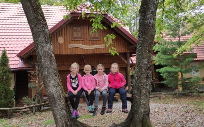 POHOD PLANINSKIH KROŽKOV OŠ PODZEMELJ IN OŠ METLIKA NA KRAŠNJI VRH