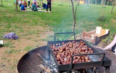 NARAVOSLOVNI DAN 1. TRIADE: NABIRANJE KOSTANJA NA GRABROVCU