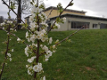 jpeg-optimizer_20230331_110107_HDR