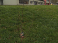 jpeg-optimizer_20230331_110156