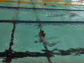 jpeg-optimizer_1717755400317