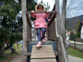jpeg-optimizer_1000003673