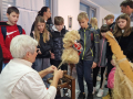 jpeg-optimizer_20231110_111610