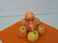 jpeg-optimizer_20231117_085218