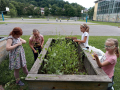 jpeg-optimizer_20230612_131710