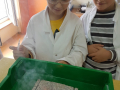slika_008
