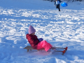 jpeg-optimizer_1000003183