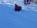 jpeg-optimizer_1000003193