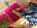 jpeg-optimizer_1000003127