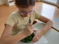 jpeg-optimizer_1000003140